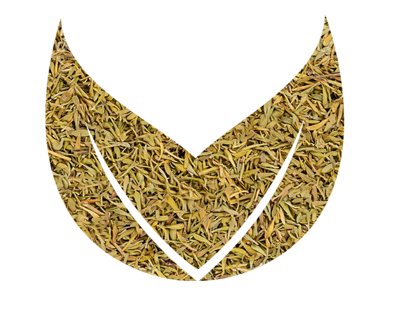 Thyme