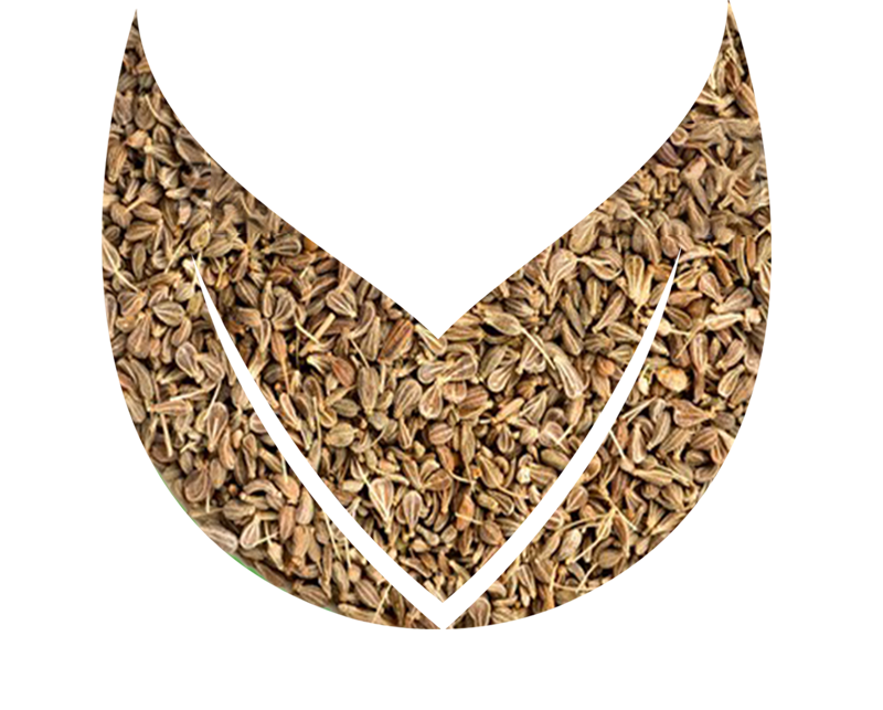 Anise Seeds