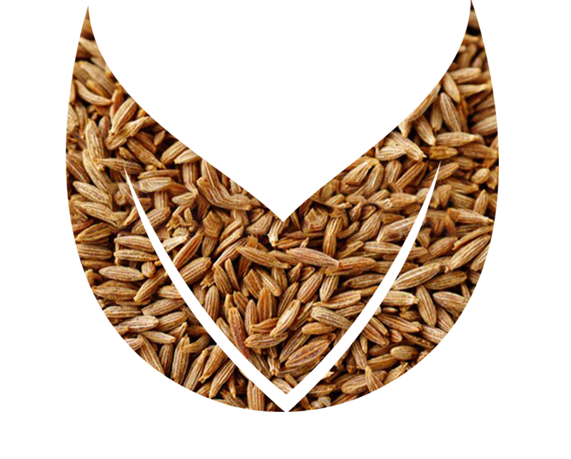 Cumin
