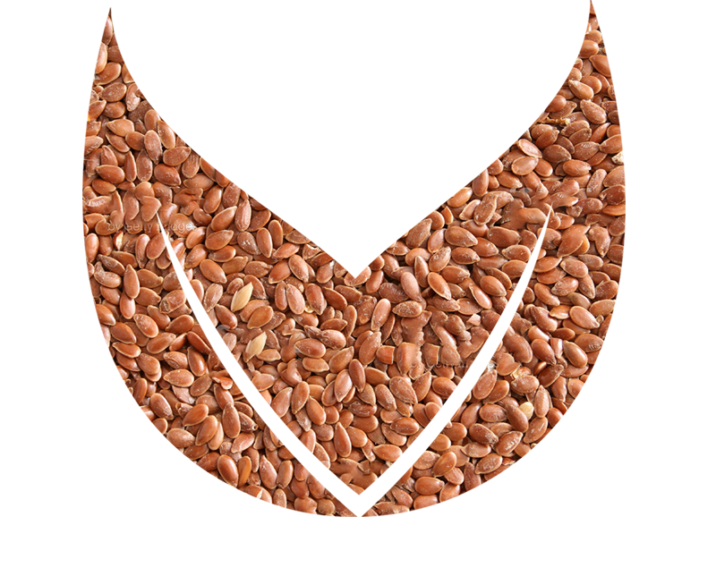 Flax Seeds