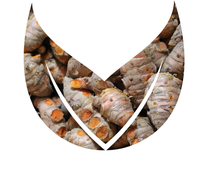 Turmeric